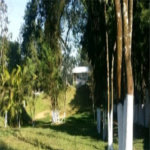 Sítio à venda com 4 quartos, sendo 2 suítes, em Biritiba Ussu, Mogi das Cruzes, SP