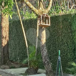 Terreno à venda em Vila Tramontano, São Paulo, SP