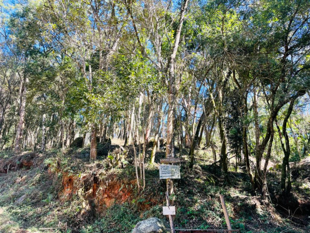 Terreno à venda em Jundiaizinho (terra Preta), Mairiporã, SP