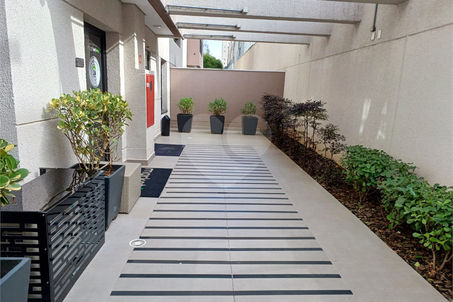 Apartamento para alugar com 2 quartos, sendo 1 suíte, em Tucuruvi, São Paulo, SP