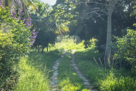 Área de Terra à venda com 1 suíte em Campo Grande, Rio de Janeiro, RJ