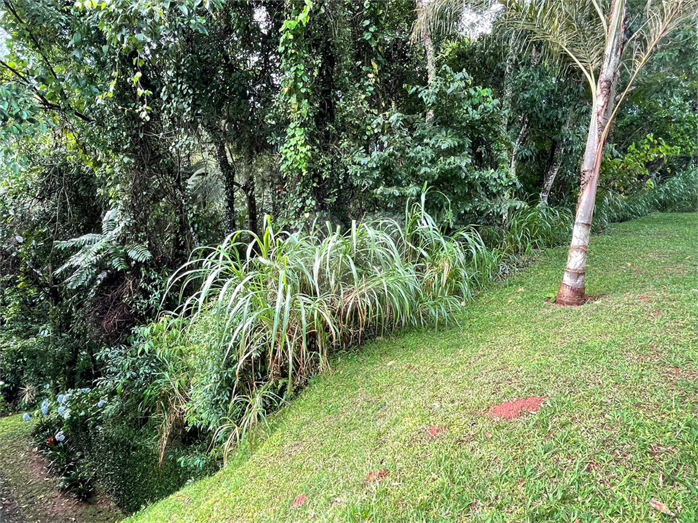 Terreno à venda no condomínio Associação Reserva das Hortênsias, Mairiporã - SP