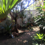 Sobrado à venda com 4 quartos, sendo 1 suíte, em Jardim Novo Mundo, São Paulo, SP