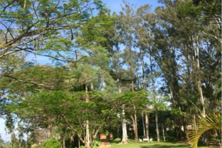 Fazenda à venda com 7 quartos, sendo 1 suíte, em Bairro Itapema, Itatiba, SP