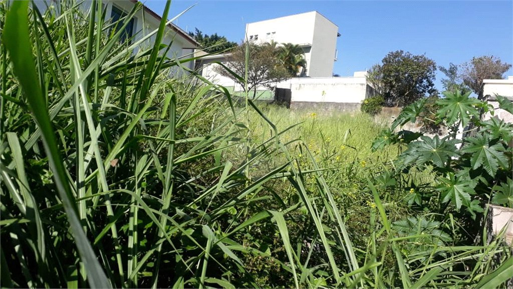 Terreno à venda em Jardim São Bento, São Paulo, SP