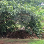 Terreno à venda no condomínio Jardim Primavera, Louveira - SP