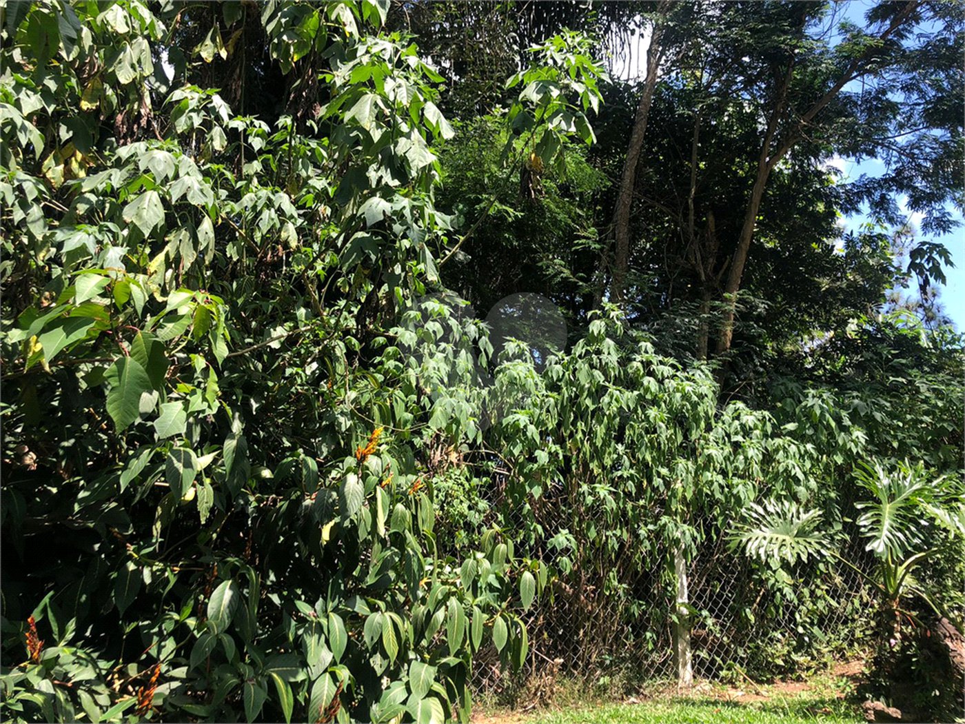 Terreno à venda em Serra da Cantareira, Mairiporã, SP