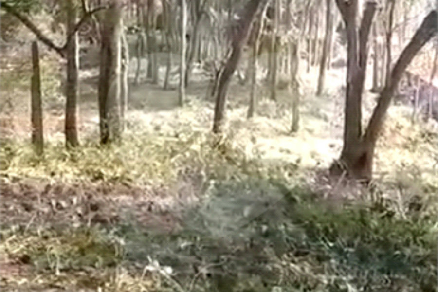 Terreno à venda em Luiz Fagundes, Mairiporã, SP