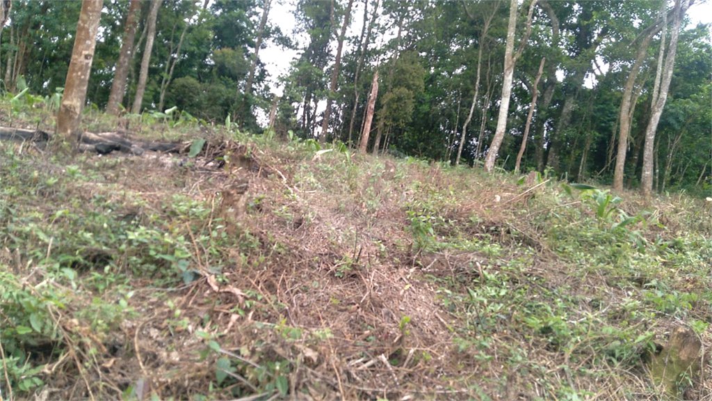 Terreno à venda em Jardim Atalaia, Cotia, SP