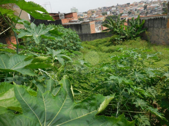 Terreno à venda em Vila Maria Alta, São Paulo, SP