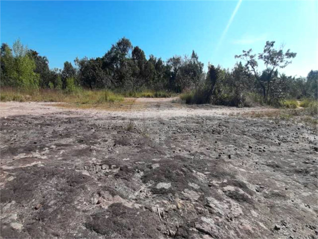 Terreno à venda em Caraguatá, Mairiporã, SP