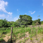 Chácara à venda com 4 quartos, sendo 1 suíte, em Área Rural de Salto, Salto, SP