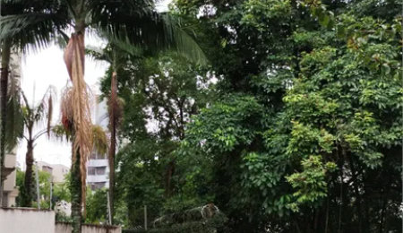 Terreno à venda em Vila Suzana, São Paulo, SP