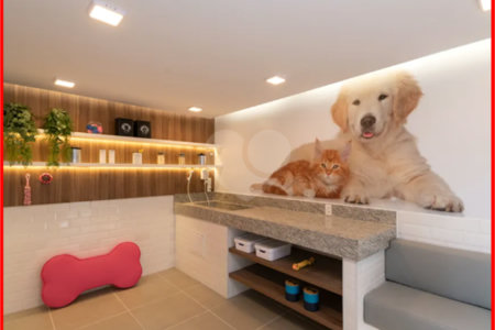 Apartamento à venda com 1 suíte em Jardim da Glória, São Paulo, SP
