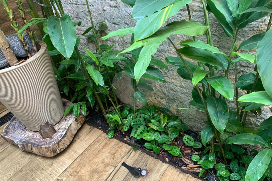 Sobrado à venda com 2 suítes em Horto, São Paulo, SP