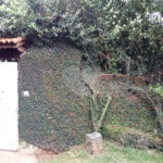 Sobrado à venda com 2 quartos, sendo 1 suíte, em Jardim Virginia Bianca, São Paulo, SP