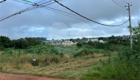 Terreno à venda em Bosque de Ponta Porã, Ponta Porã, MS