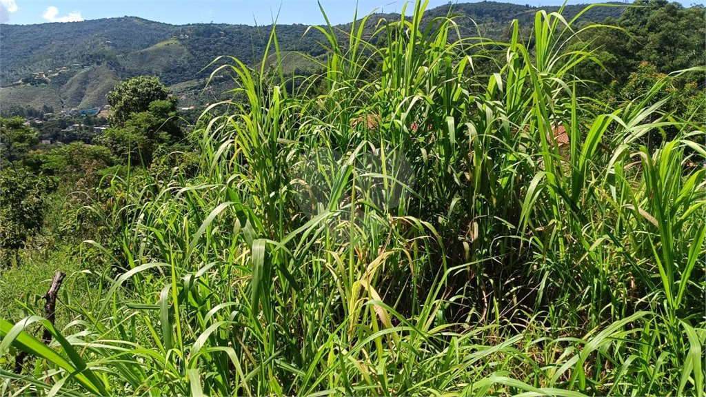 Terreno à venda em Luiz Fagundes, Mairiporã, SP