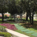 Apartamento para alugar com 2 quartos, sendo 1 suíte, em Parque Mandaqui, São Paulo, SP