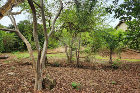Chácara à venda com 2 quartos em Jardim Califórnia, Araraquara, SP
