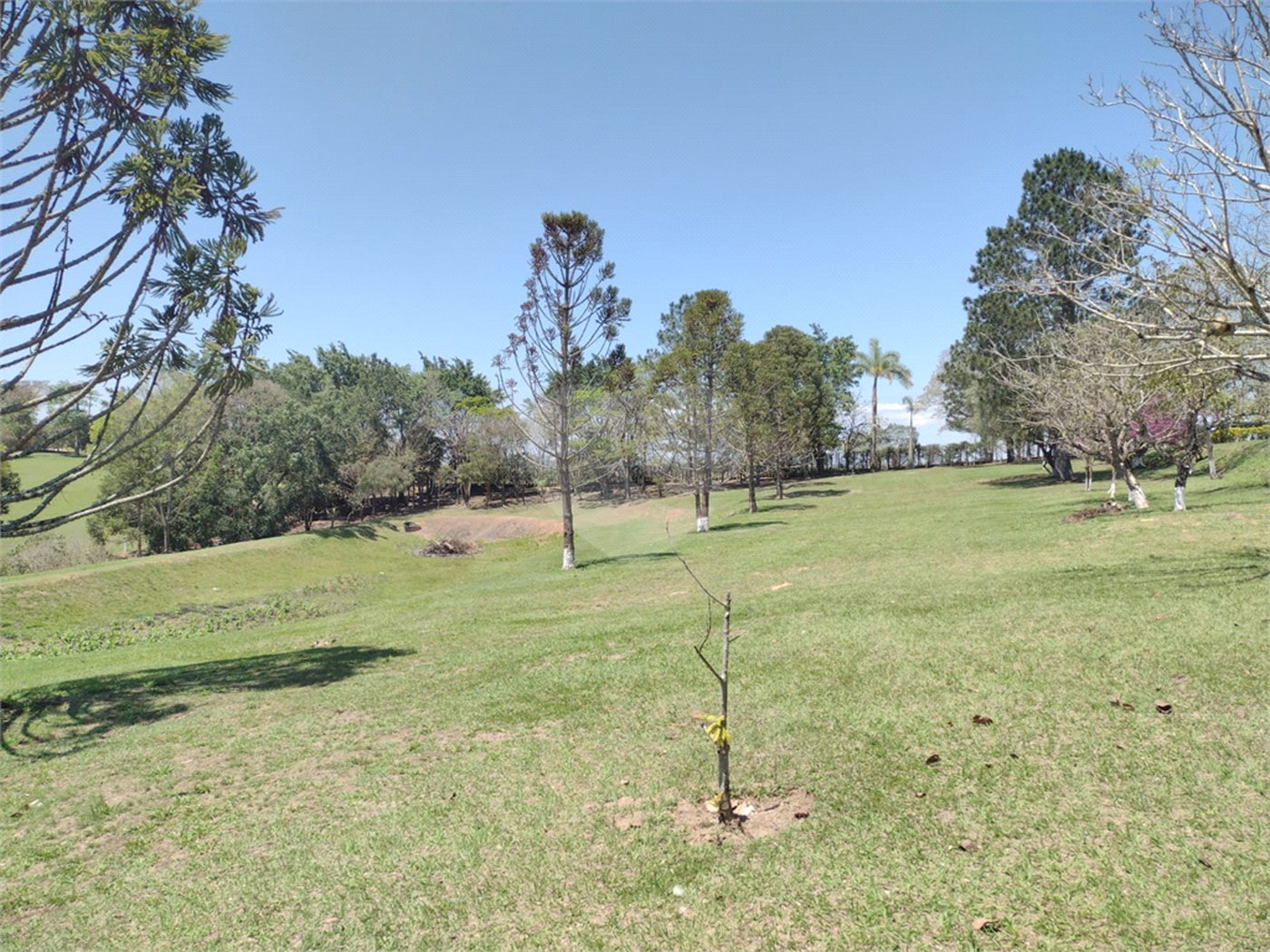 Sítio à venda com 4 quartos no Centro, Araçoiaba da Serra, SP
