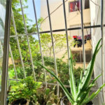 Apartamento à venda com 2 quartos em Estácio, Rio de Janeiro, RJ