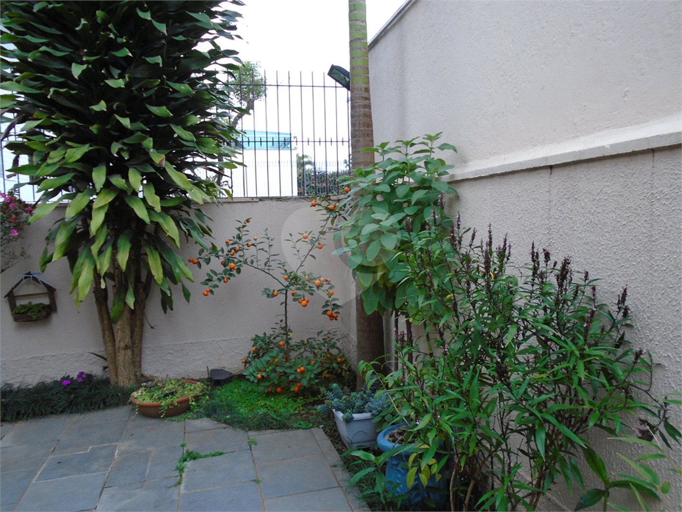 Casa Térrea à venda com 3 quartos, sendo 1 suíte,  em Alto da Boa Vista, São Paulo, SP