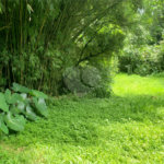 Terreno à venda em Horto, São Paulo, SP
