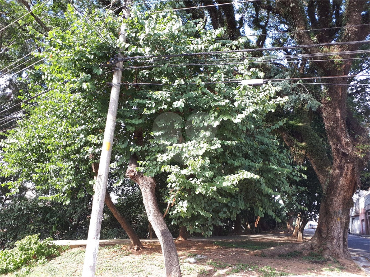 Terreno à venda em Vila Isolina Mazzei, São Paulo, SP