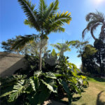 Casa à venda ou para alugar com 5 suítes no condomínio Fazenda Boa Vista, Porto Feliz - SP