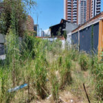 Terreno à venda ou para alugar em Chácara Santo Antônio, São Paulo, SP