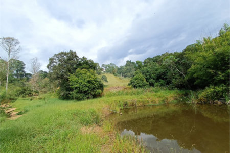 Terreno à venda em Residencial Reserva da Mata, Itapetininga, SP