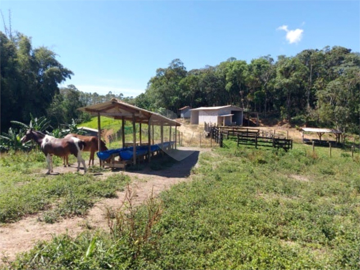 Sítio à venda com 5 quartos, sendo 1 suíte,  em Área Rural de Tapiraí, Tapiraí, SP
