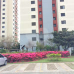 Apartamento para venda localizado no Brás