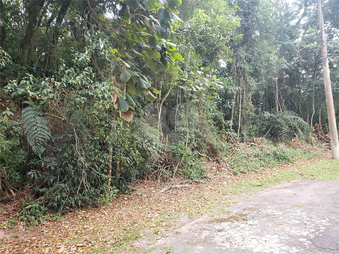 Condomínio à venda em Caraguatá, Mairiporã, SP