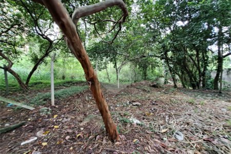 Terreno à venda em Jardim Ampliação, São Paulo, SP