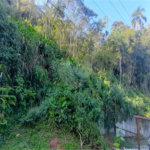 Terreno à venda em Serra da Cantareira, Mairiporã, SP