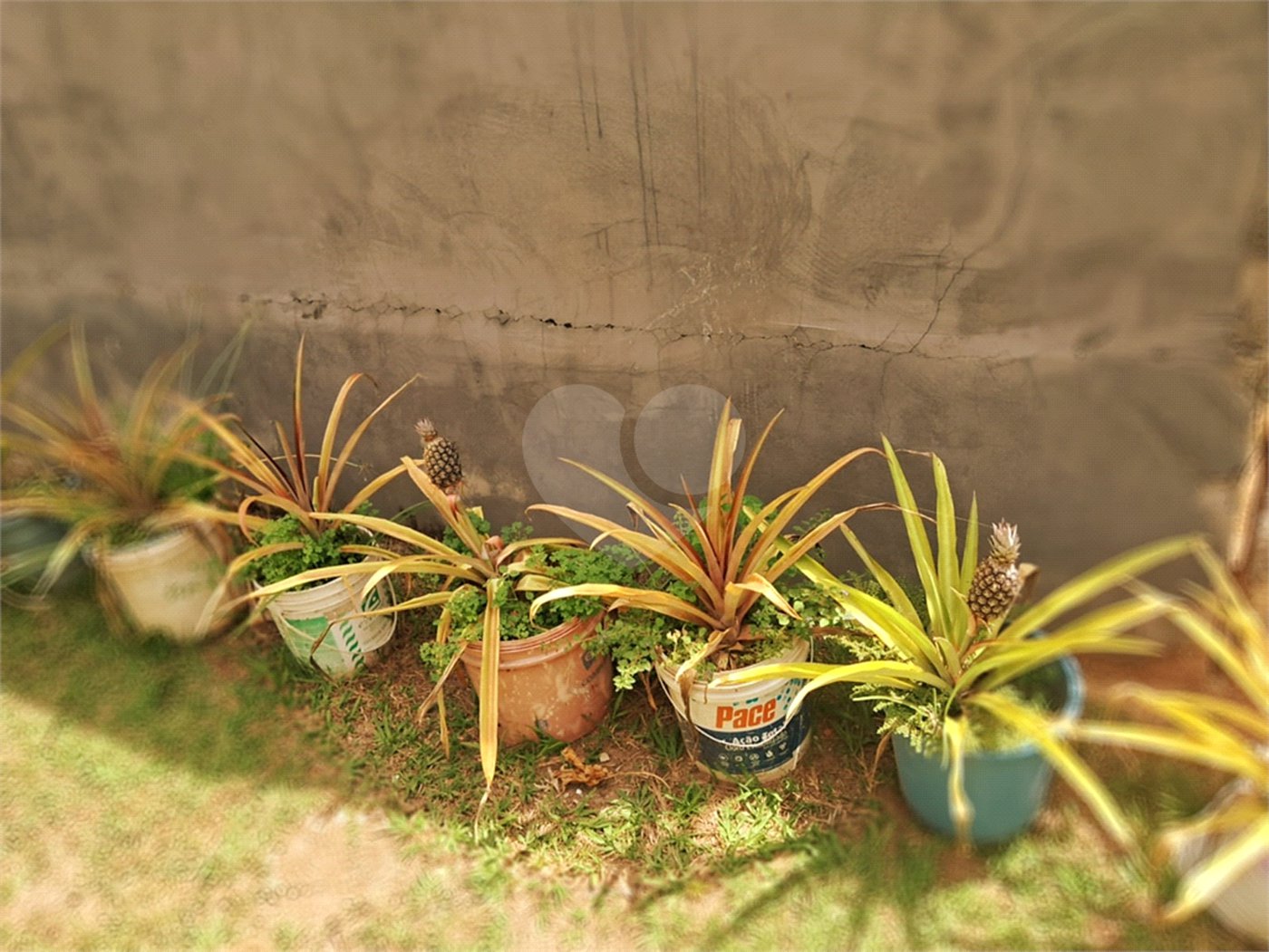 Chácara à venda com 8 quartos, sendo 5 suítes, em Chácara Belvedere, Indaiatuba, SP