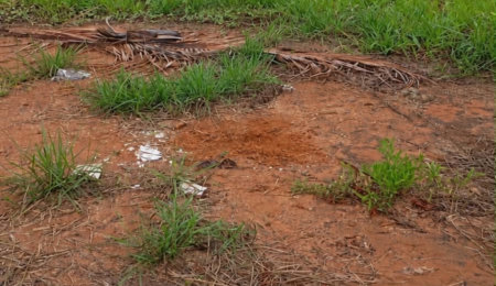 Terreno à venda em Mais Parque, Três Lagoas, MS