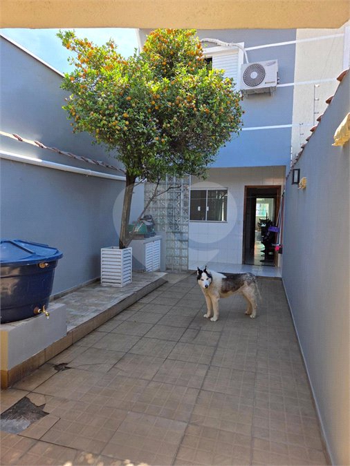 Sobrado à venda com 3 quartos, sendo 1 suíte, em Vila Gustavo, São Paulo, SP