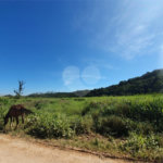 Terreno à venda em Vila Figueiredo, Rio Grande da Serra, SP