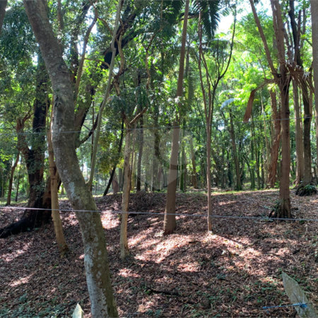 Terreno à venda no condomínio Chácara Flora, São Paulo - SP