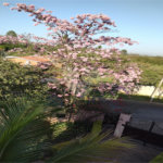 Chácara à venda com 4 suítes em Vale das Laranjeiras, Indaiatuba, SP