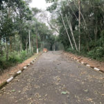 Terreno à venda no condomínio Alpes da Cantareira, Mairiporã - SP