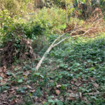 Terreno à venda em Vila Tramontano, São Paulo, SP