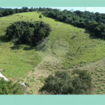 Casa em condomínio à venda em Parque Fernão Dias, Atibaia, SP