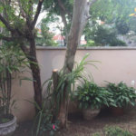 Casa à venda com 3 quartos, sendo 1 suíte, em Santana, São Paulo, SP