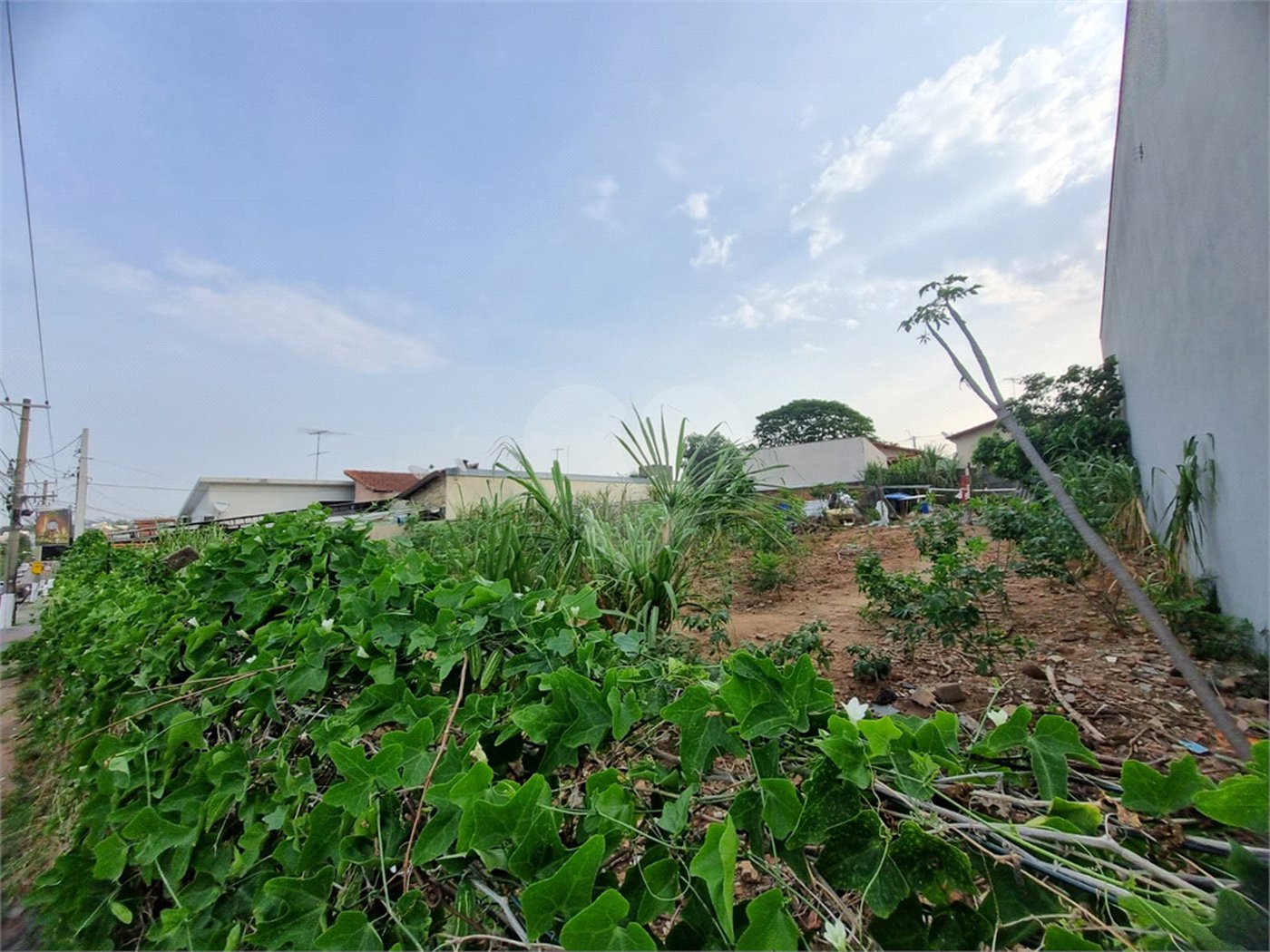 Terreno para alugar em Nova Vinhedo, Vinhedo, SP