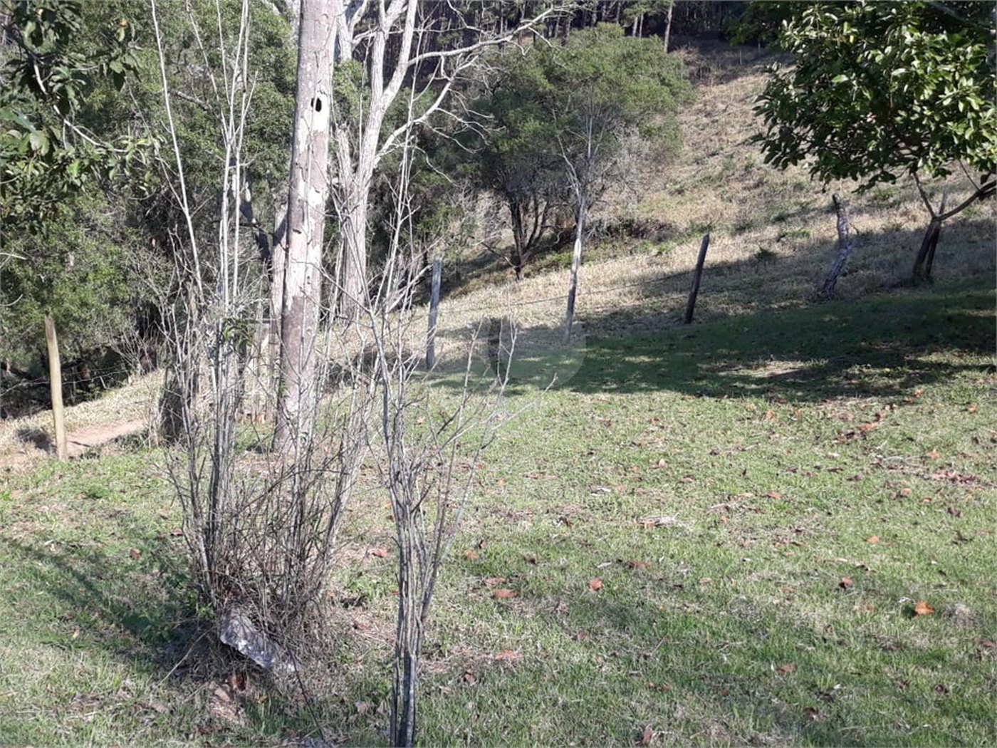 Sítio à venda com 3 quartos em Bairro do Cambará, São Roque, SP