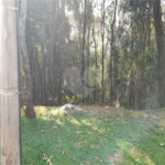 Terreno à venda em Roseira, Mairiporã, SP
